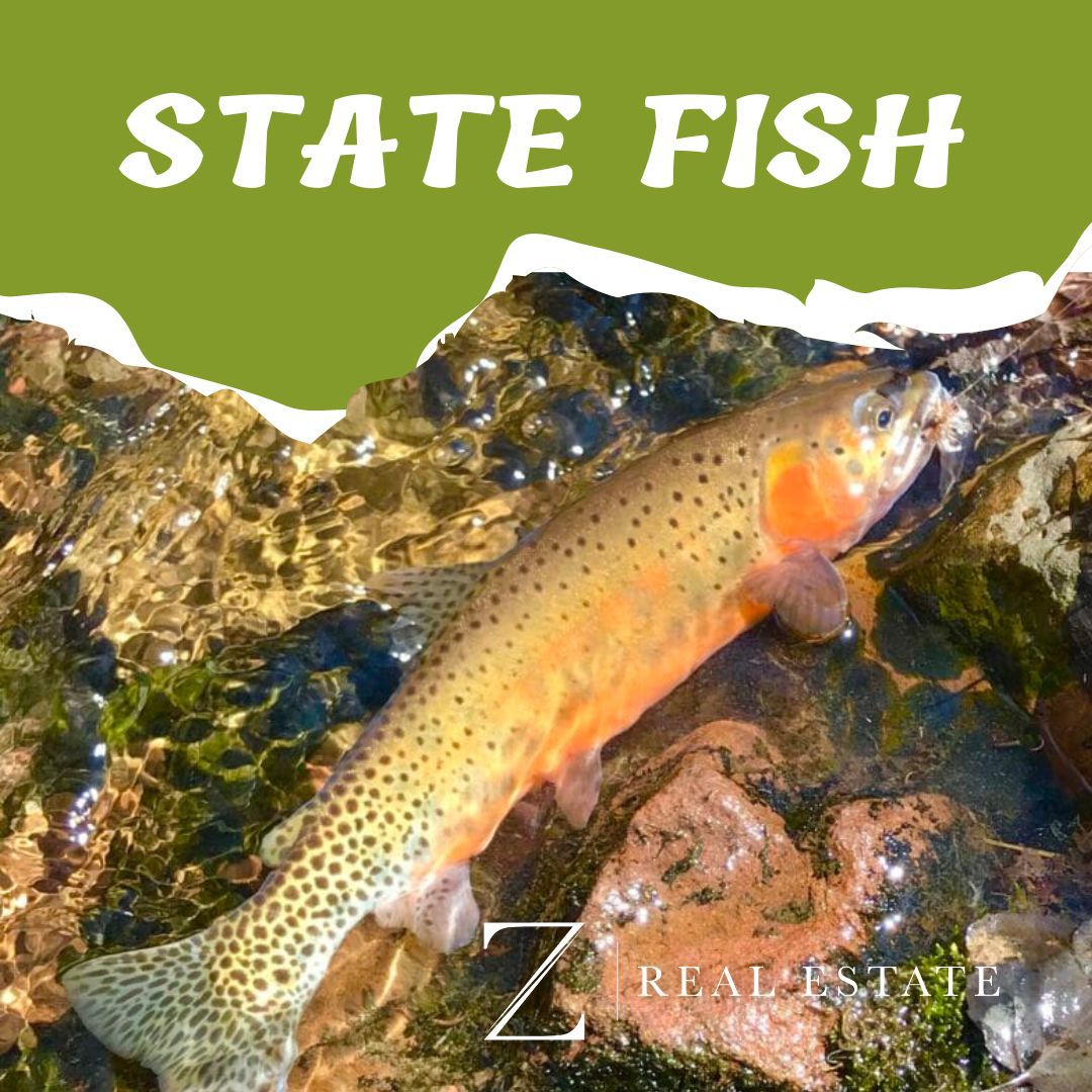 What's the State of Our State Fish?