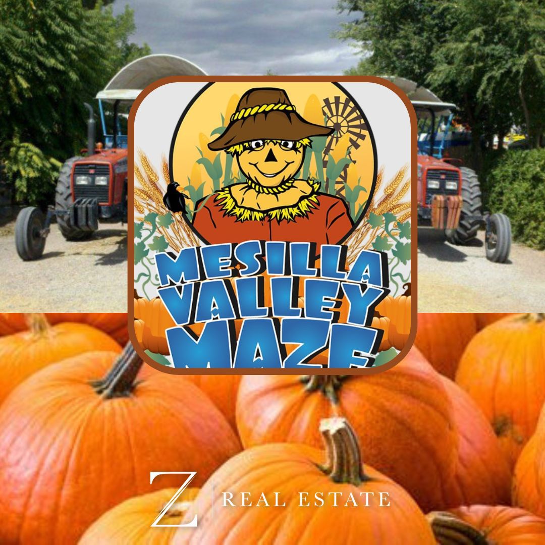 Las Cruces Real Estate Local Business Mesilla Valley Maze   LBS 10.25.22 MESILLA VALLEY MAZE GT 