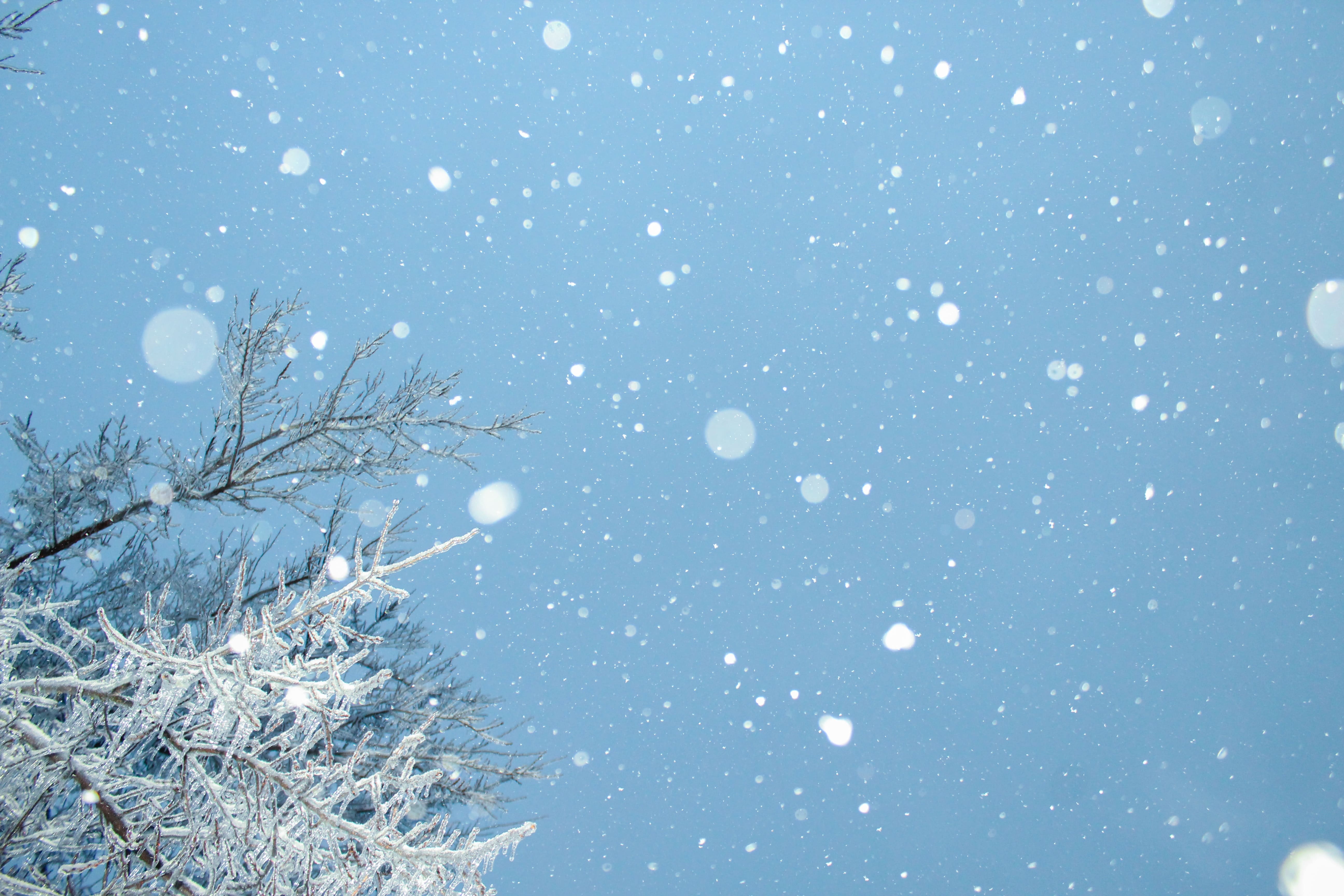 Winter in Goddard, KS
