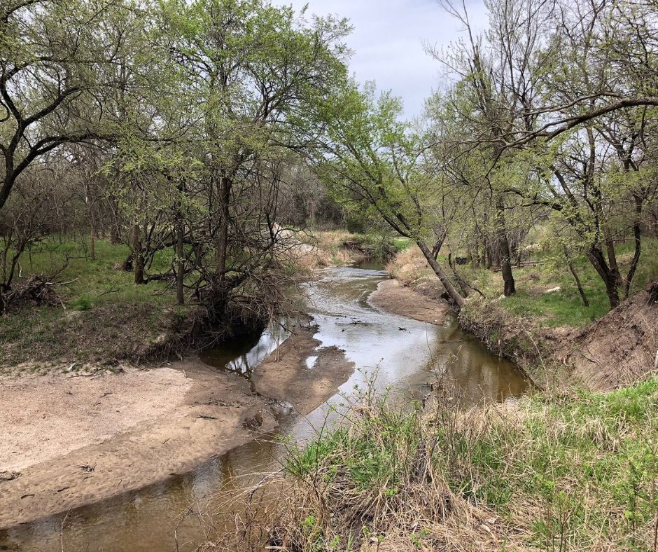 Pawnee Prairie Park Guide in Wichita KS | Hiking, Wildlife & More