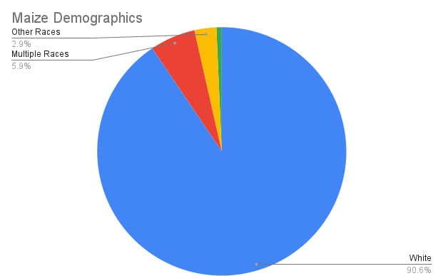 Maize-Demographics