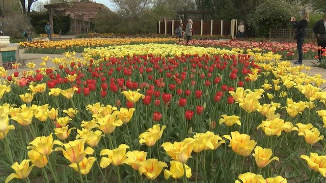 Botanica Garden Wichita KS