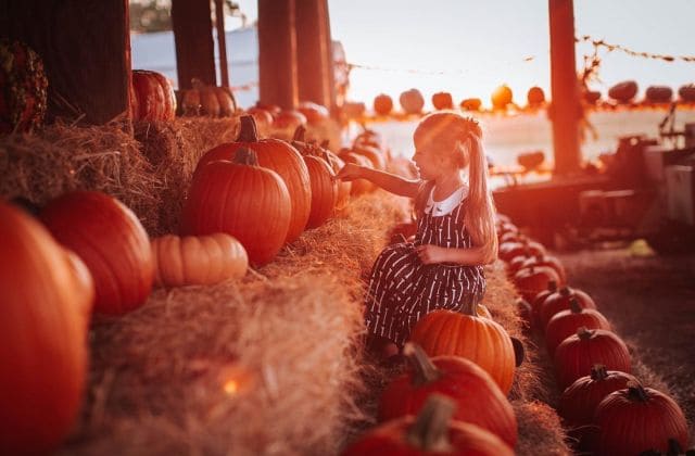 Best Pumpkin Patches In Wichita, Kansas | Fall 2023