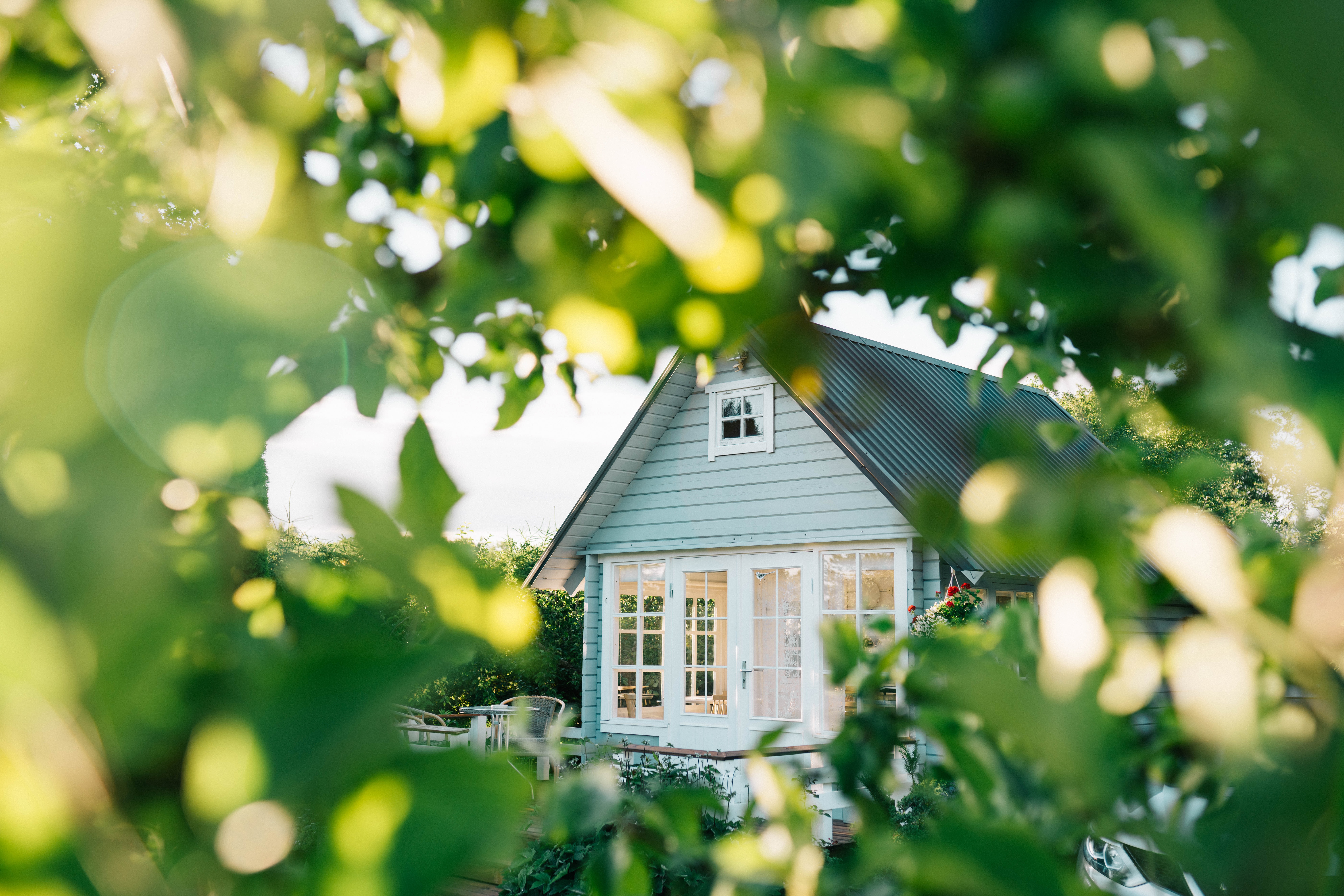 Photo of a house viewed through the leaves of a tree