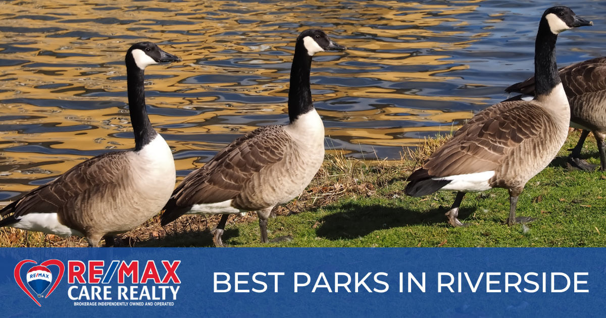 Best Parks in Riverside