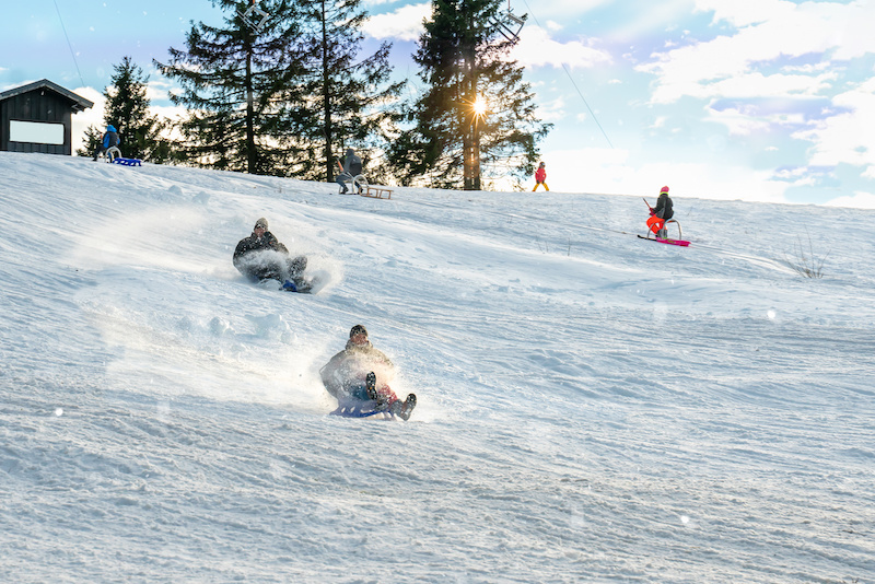 Family Day Ontario 14+ Fun Things to Do on Family Day