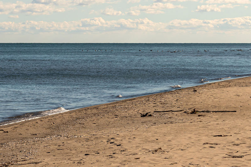 Enjoy a Day at Holiday Beach Conservation Area
