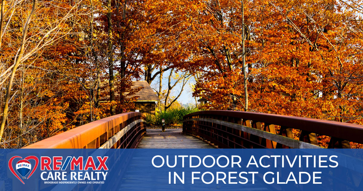 Best Outdoor Activities in Forest Glade