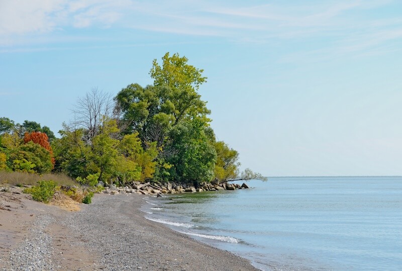Visit the Beach at Point Pelee National Park