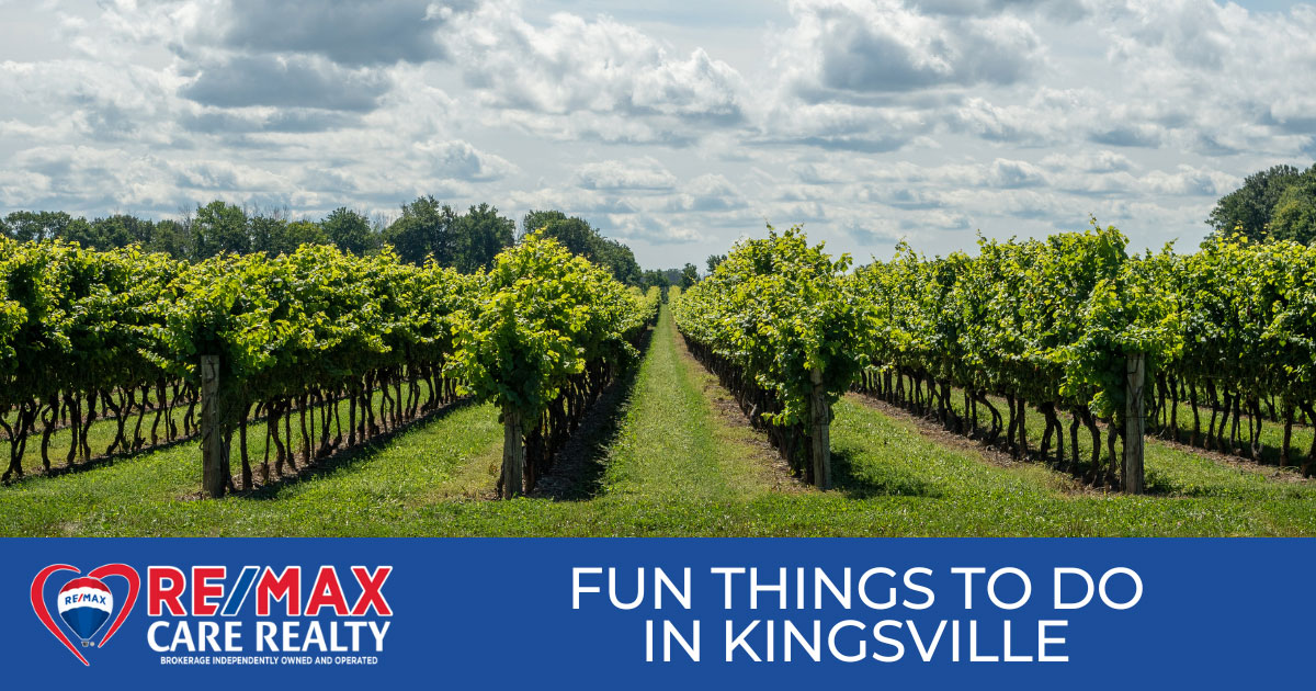 Things to Do in Kingsville