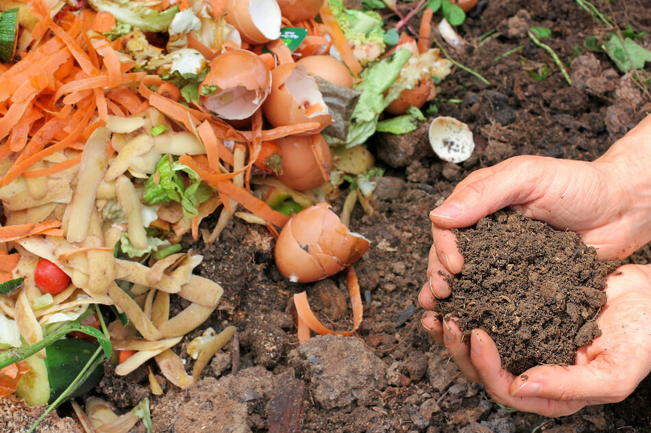 How to Get Started Composting at Home