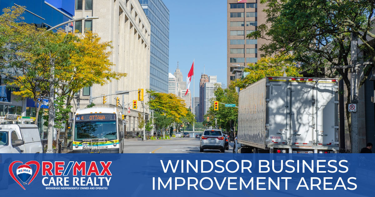 Best Business Improvement Areas in Windsor
