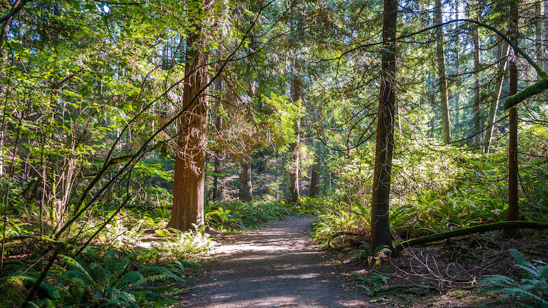 Reasons to Live in Bridle Trails in Kirkland, WA