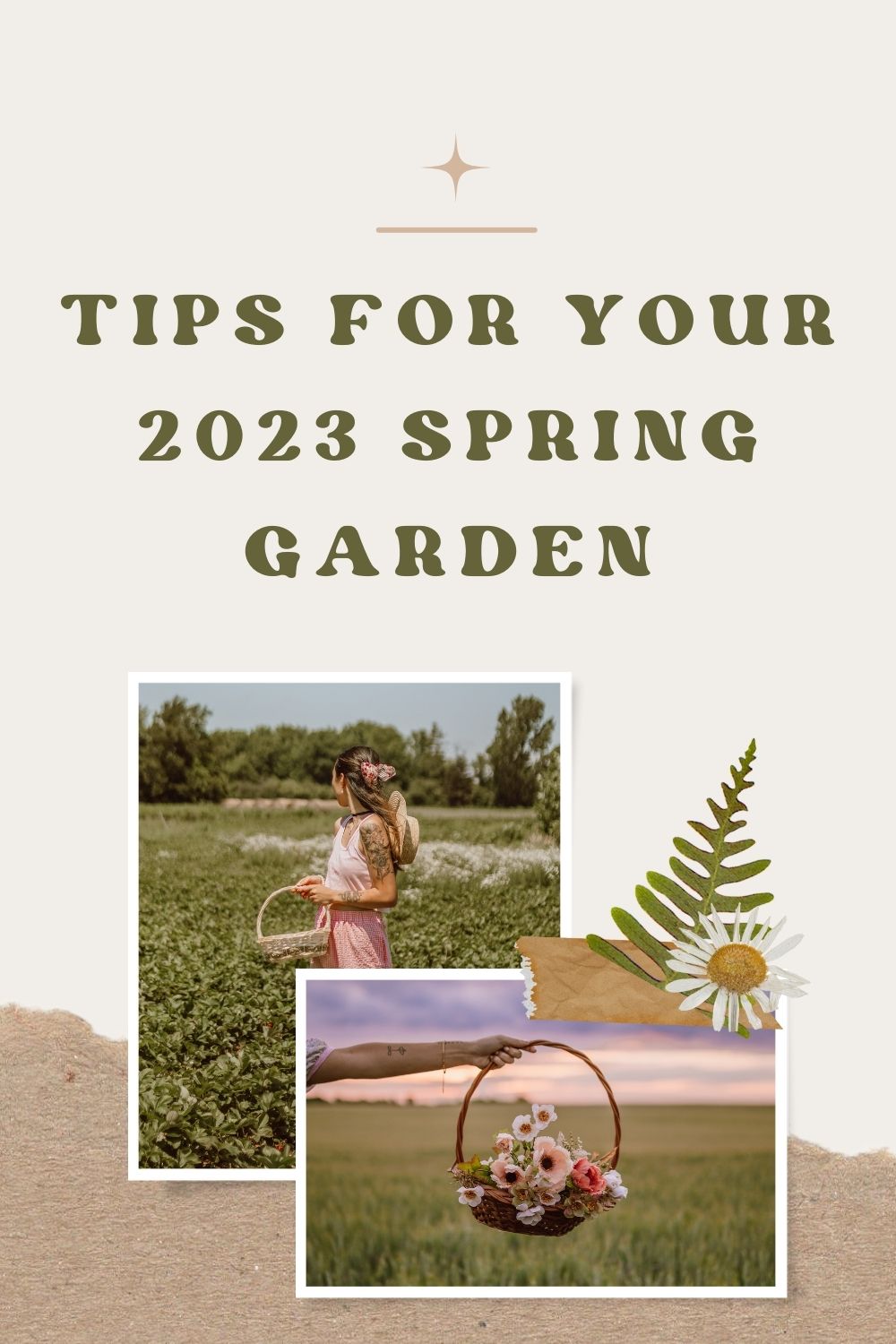 Tips For Your 2023 Spring Garden