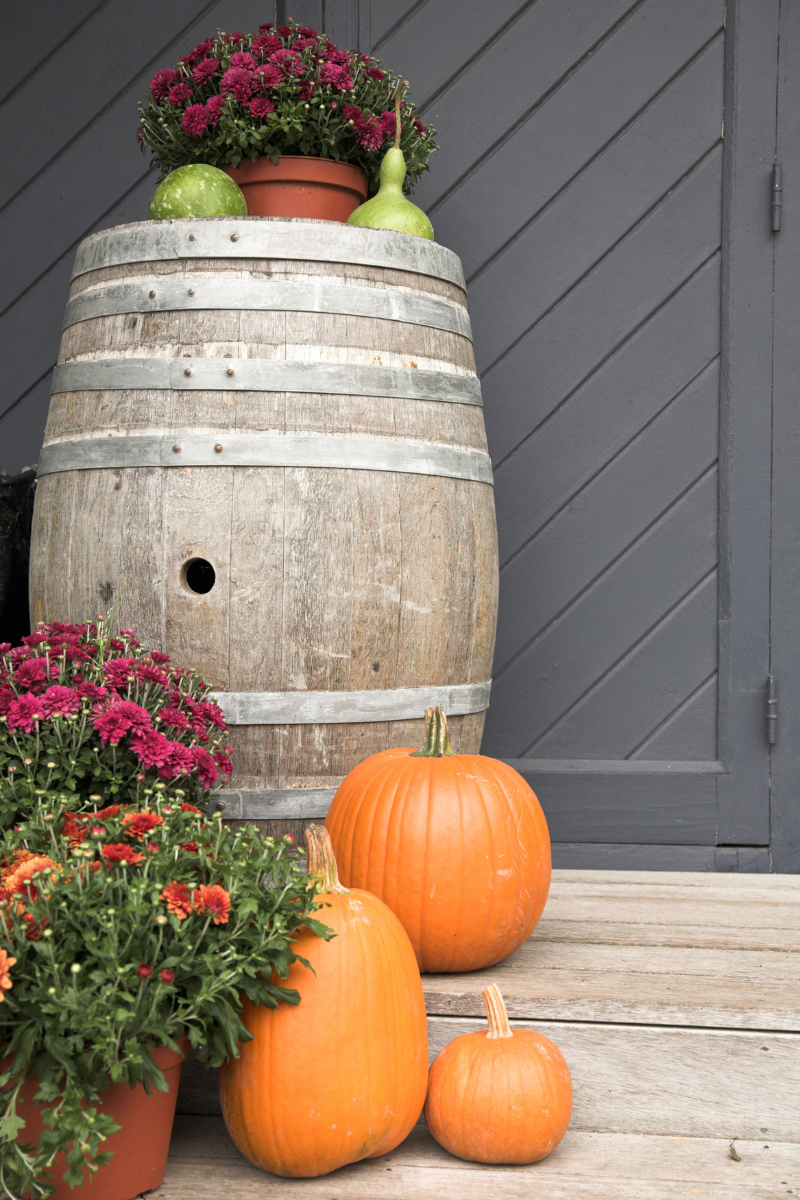 The Perfect Fall Décor for Your Front Porch 