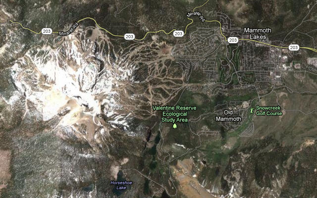 Map of Mammoth Lakes, California