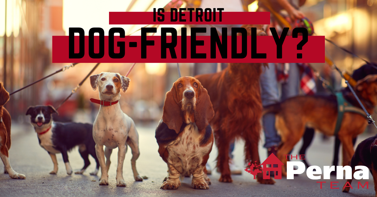 Is Detroit Dog-Friendly?