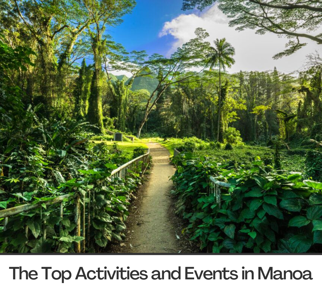 the top activities and events in manoa