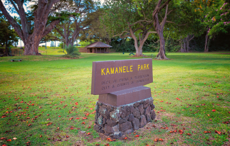 the top family friendly activities in manoa you need to try