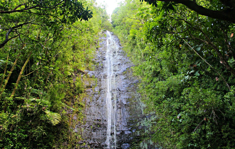 the top family friendly activities in manoa you need to try