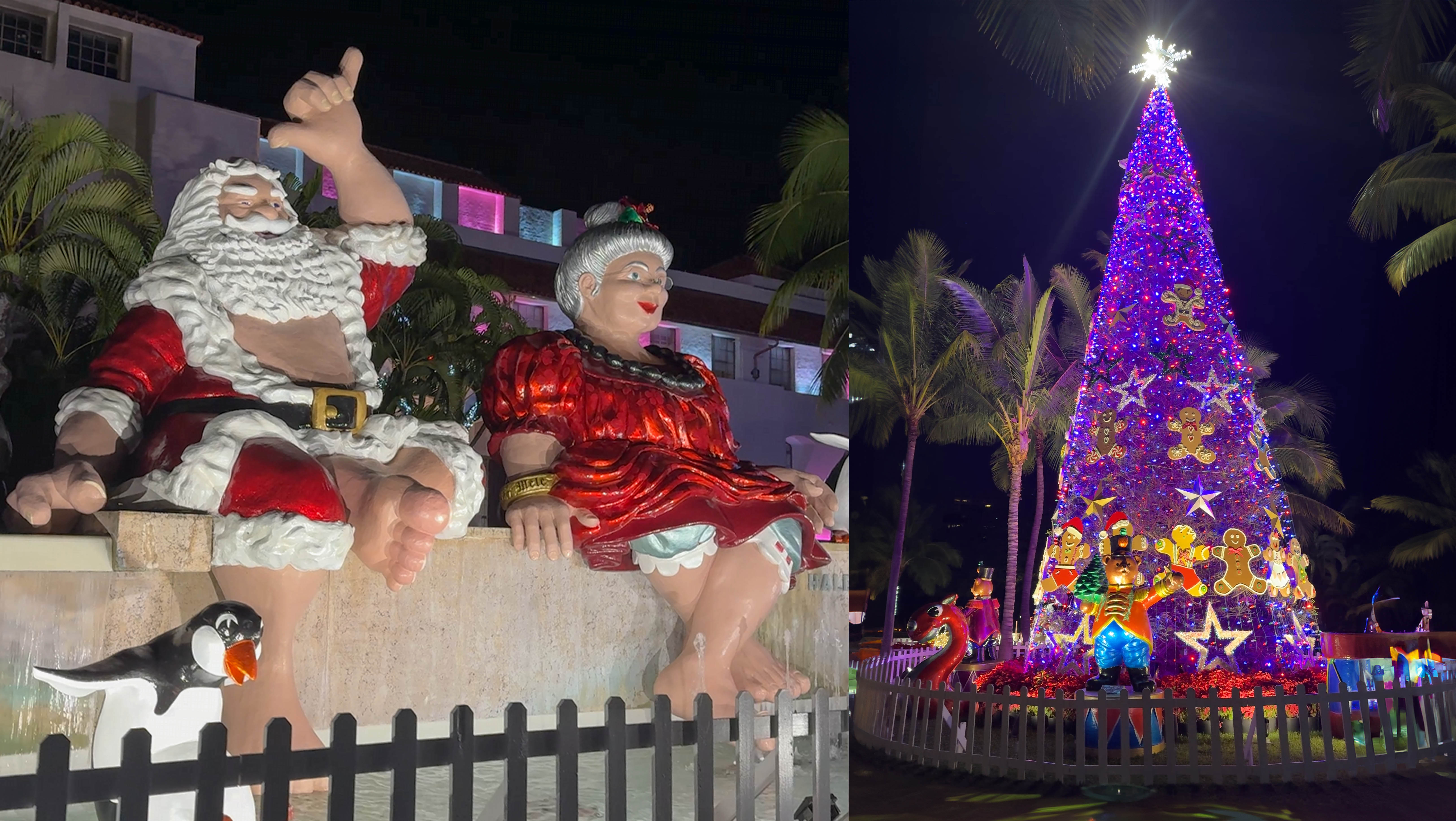 https://assets.site-static.com/userFiles/2756/image/Christmas_Lights_on_Oahu_Kaneohe_4.jpg