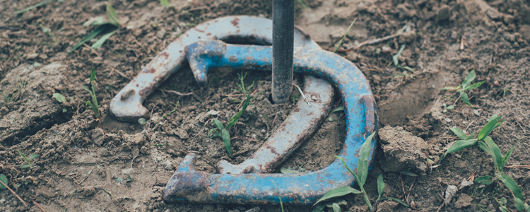 Horseshoes 