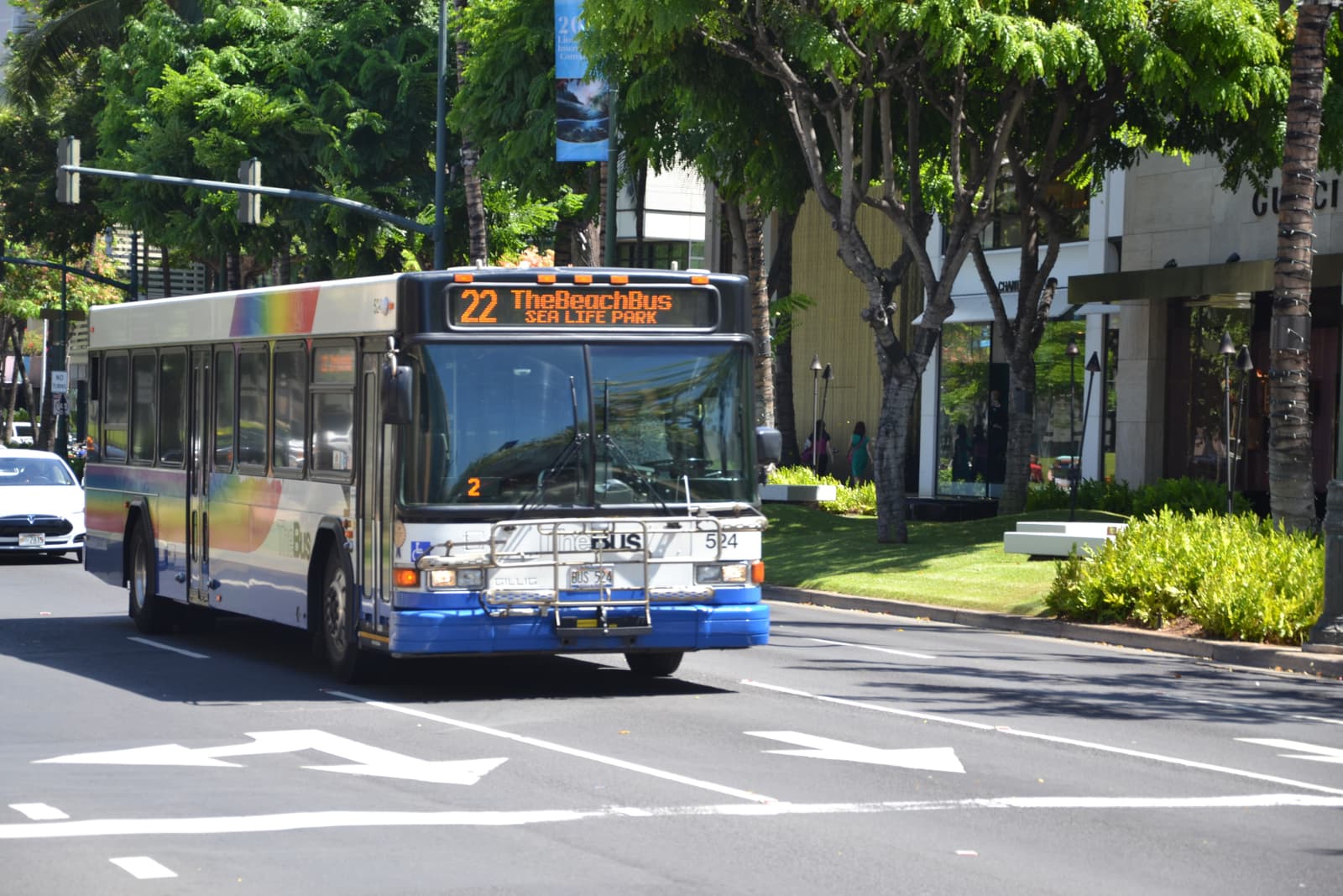 Image of TheBus in Honolulu