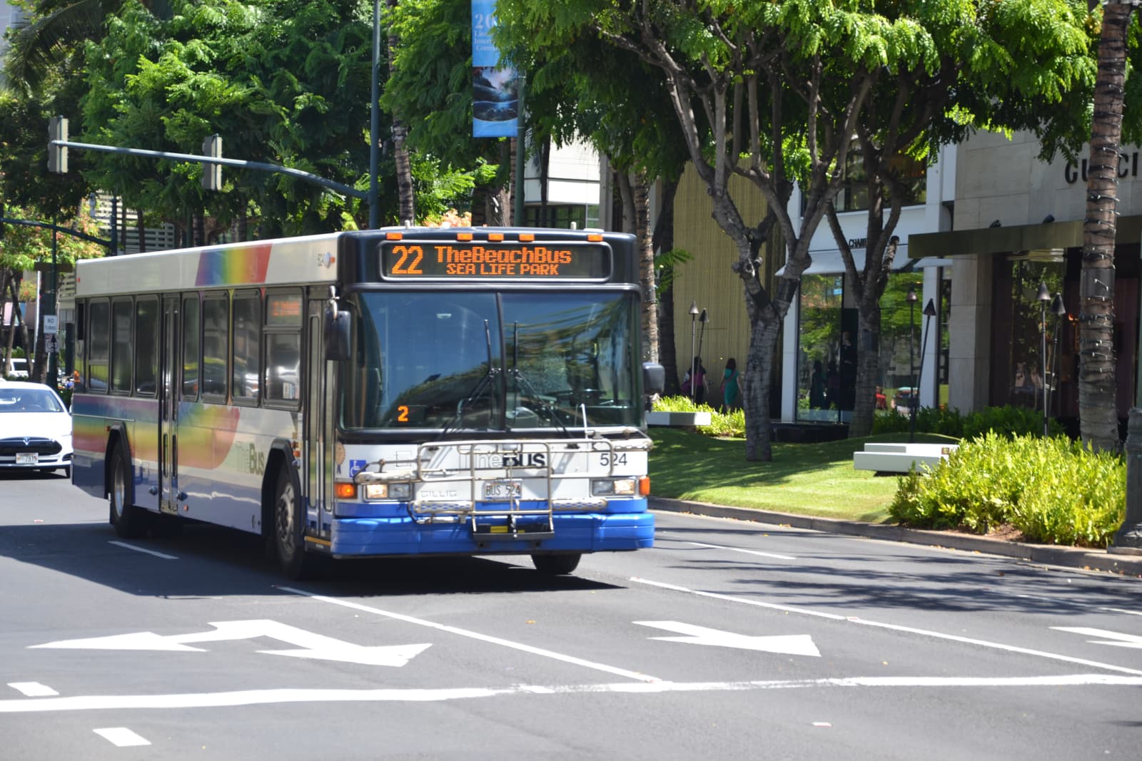 A bus in the middle of the street with greenery all around