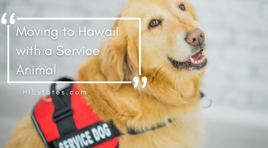 Moving to Hawaii with a Service Animal