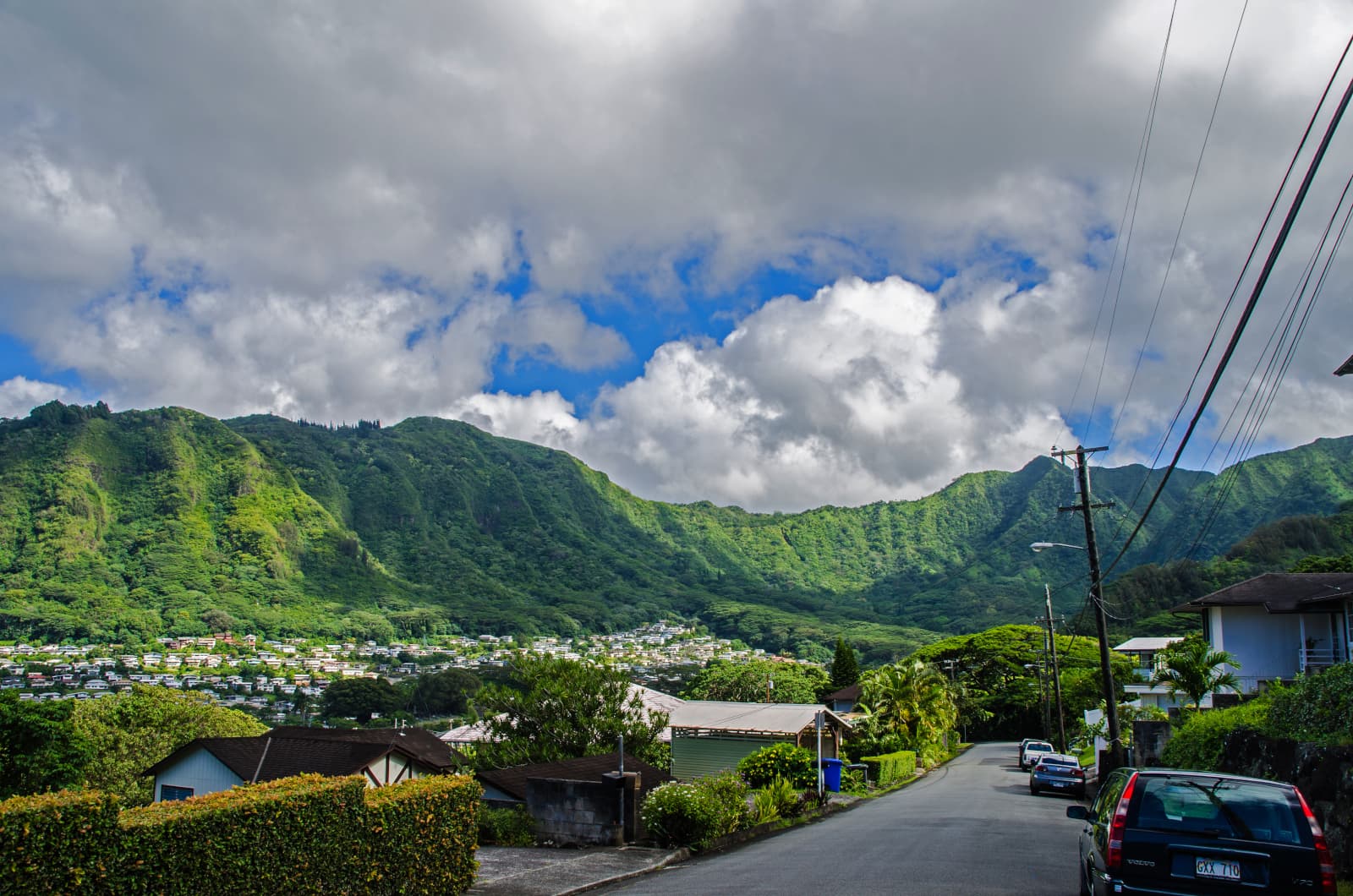 View of the lush greenery in Manoa 