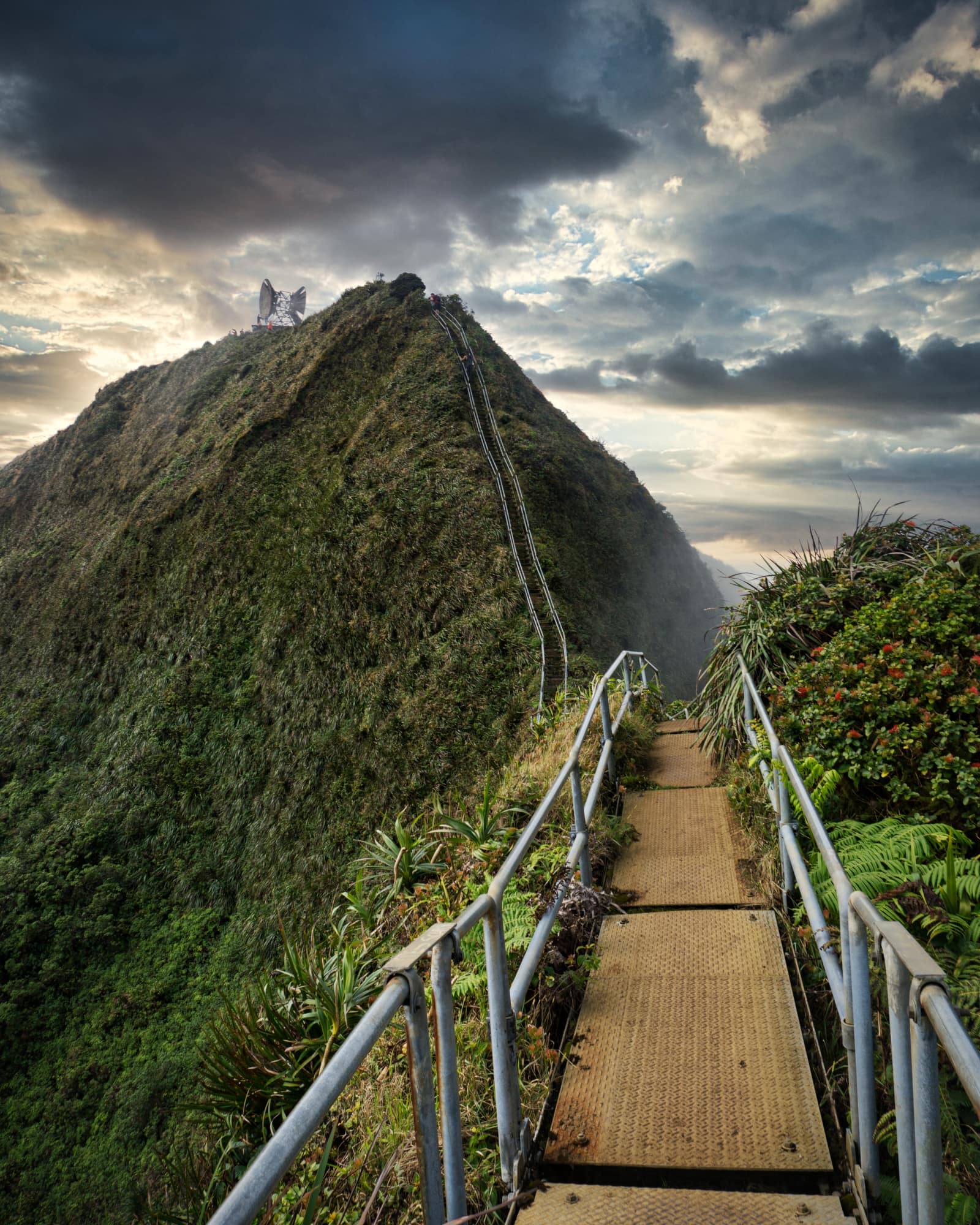 Oahu Trail