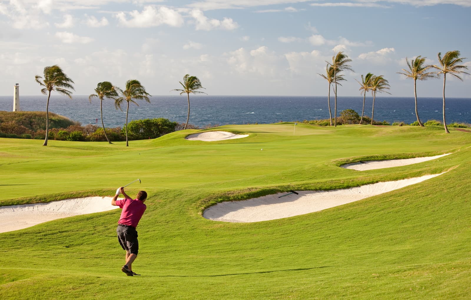 Playing golf in Hawaii