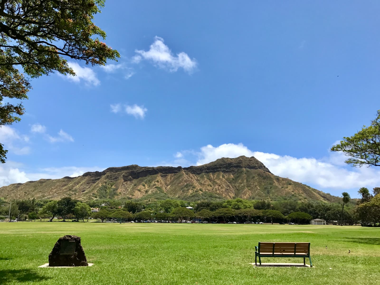 Picture taken in Kapiolani Park with a bench and rock in foreground, large open green space in the middle, and Diamond Head in the background