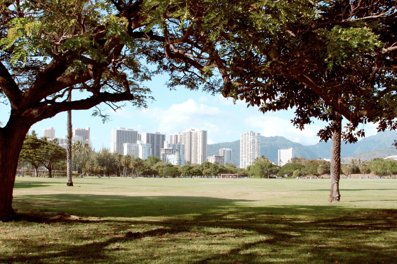 View of Kapiolani Park with Ala Moana in background