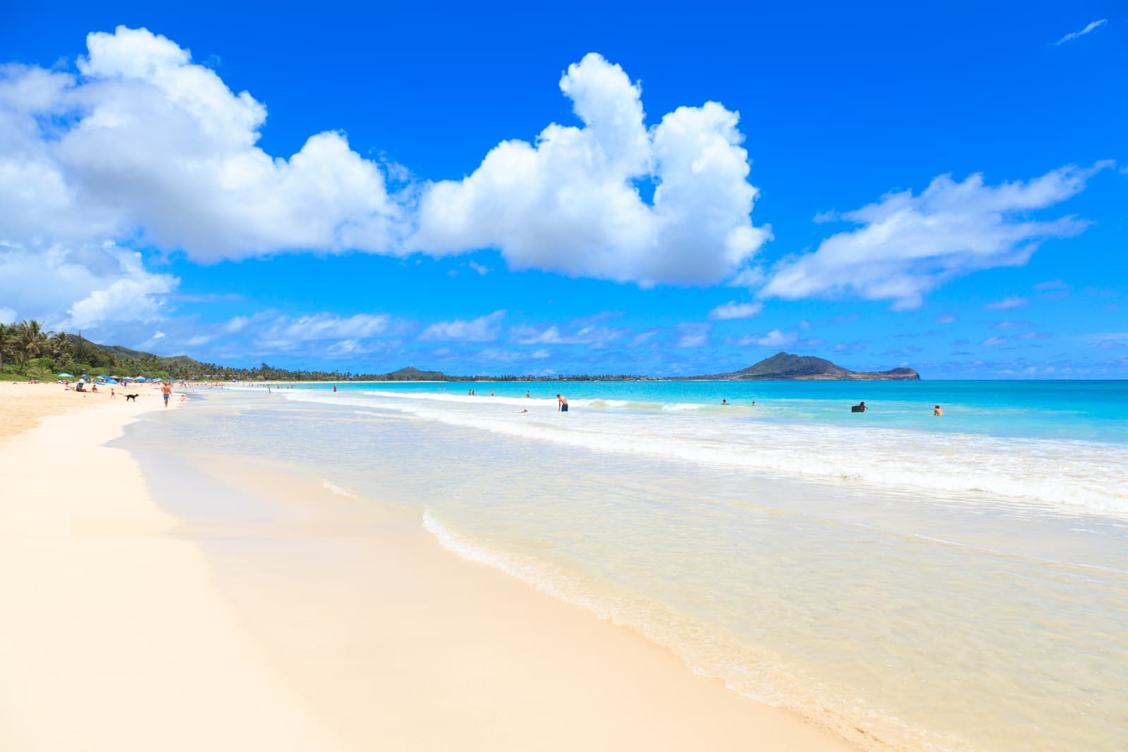 Kailua Beach Park