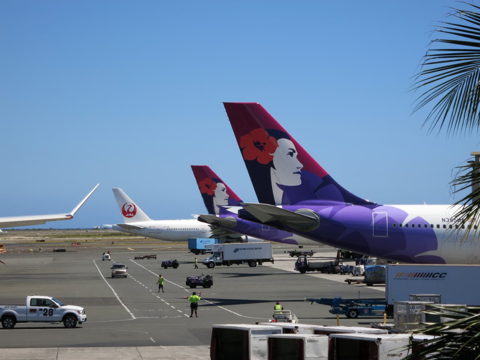 Airplanes in a Hawaiian airport 