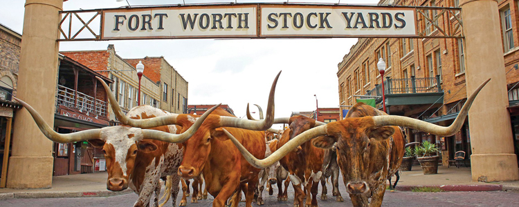 Stockyard Fort Worth, TX