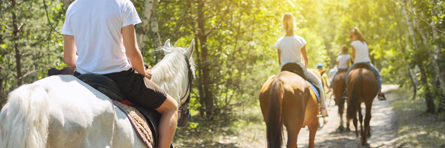 Enjoy A Horseback Ride In Trinity River Park In Westcliff, Fort Worth