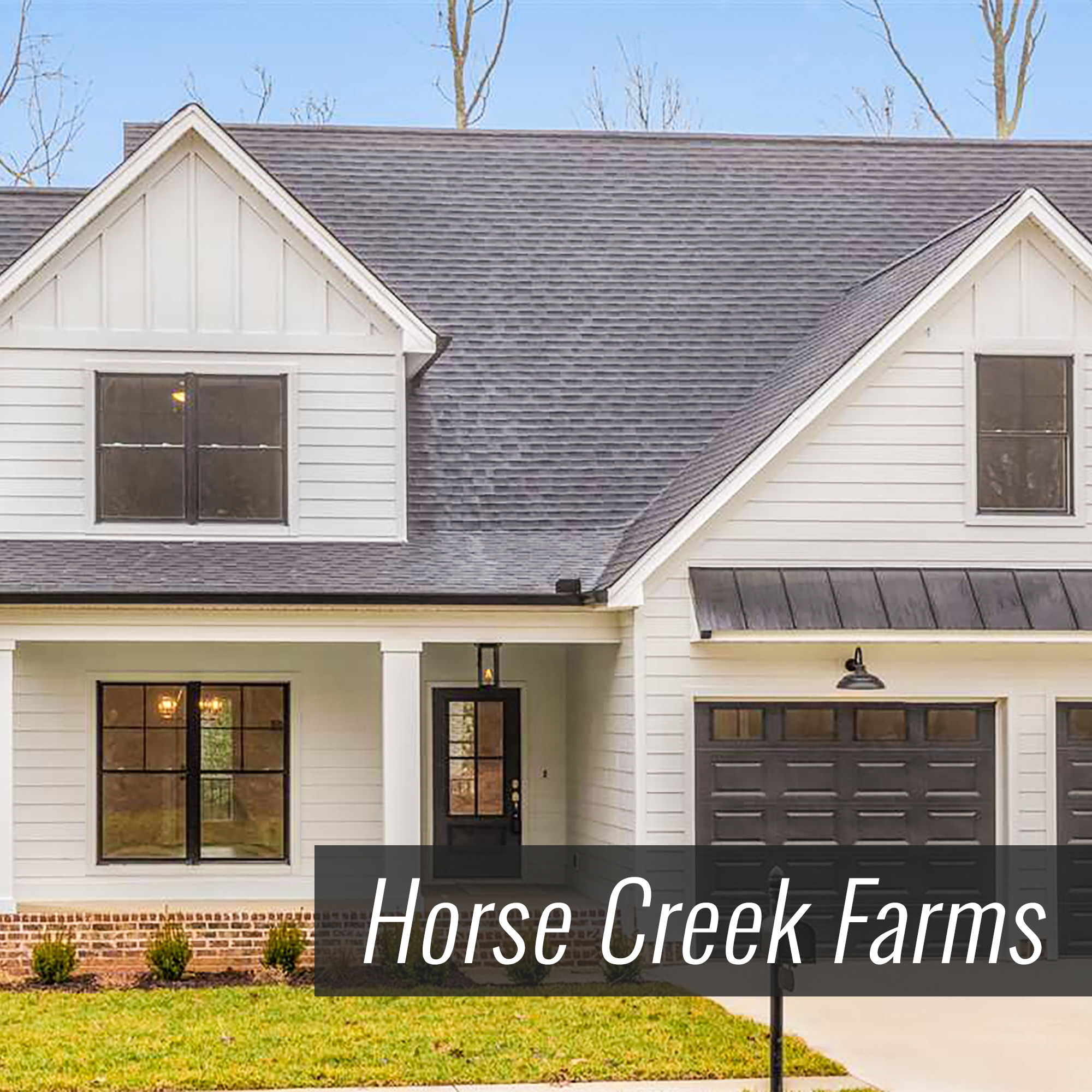 Homes for Sale in Horse Creek Farms Subdivision