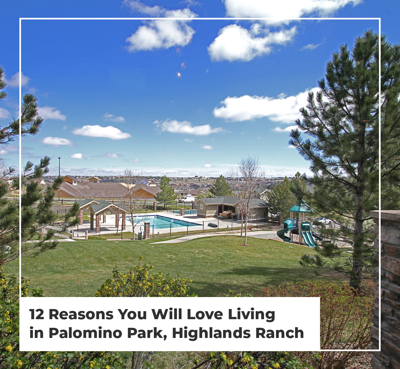 12 Reasons You Will Love Living in Palomino Park, Highlands Ranch