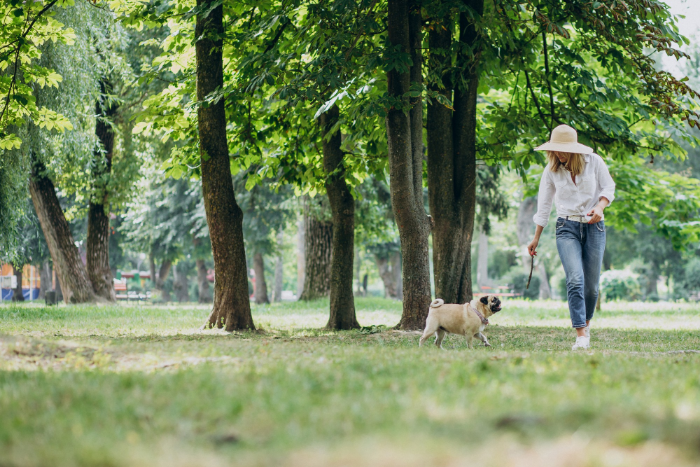 Discover the Best Dog Parks in Littleton, Colorado | A Comprehensive ...