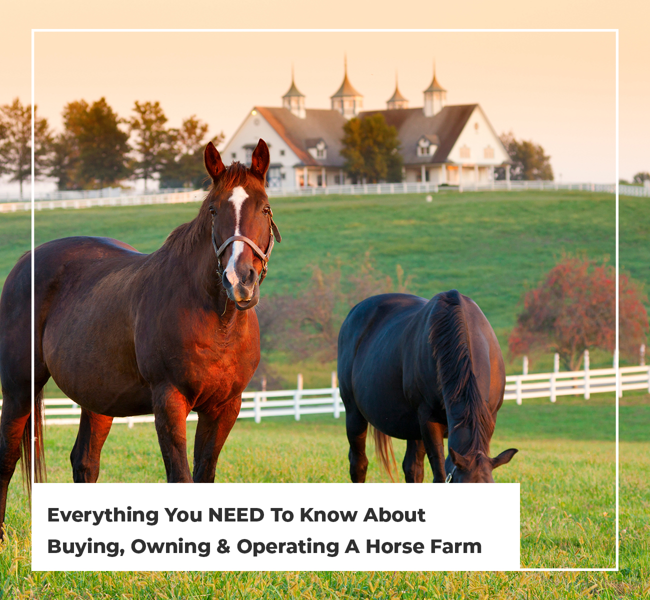 Everything You NEED To Know About Buying, Owning & Operating A Horse Farm - Main Image