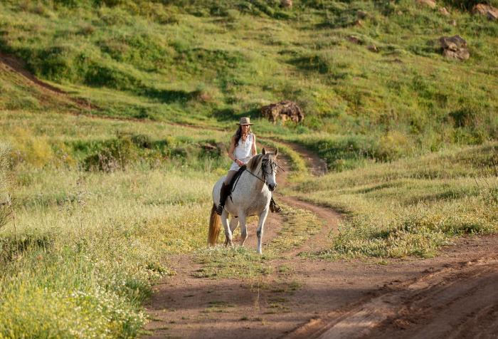 Horseback trail