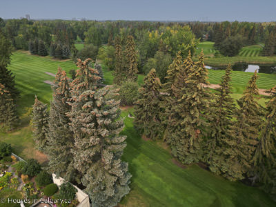 Willow Park Golf course with an aerial photo of one of the holes. The grass is well maintained and green. There is a pond in the top looking north.