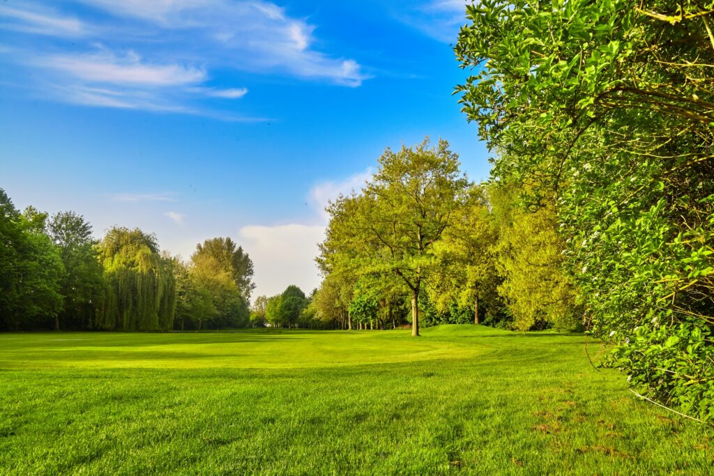 Bridle Creek Homes for Sale Bridle Creek Homes for Sale
