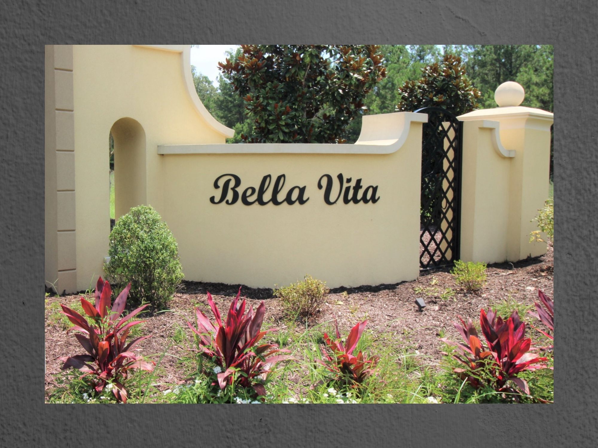 Bella Vita Homes