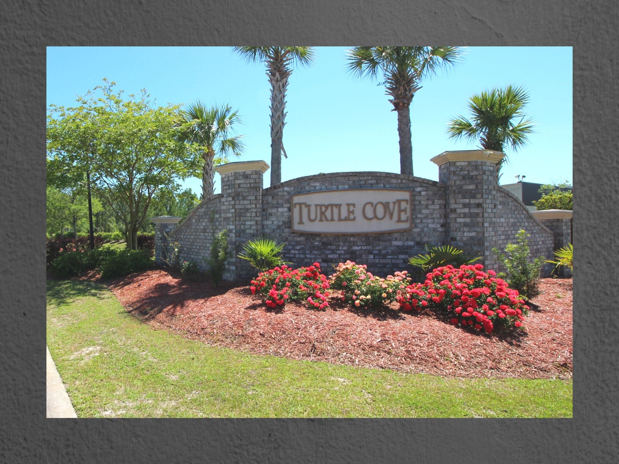 turtle cove, a neighborhood of homes for sale in Myrtle Beach