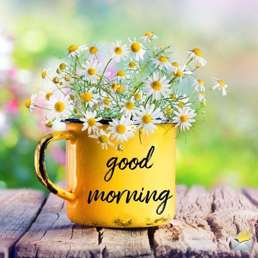 Good Morning Mug with Flowers