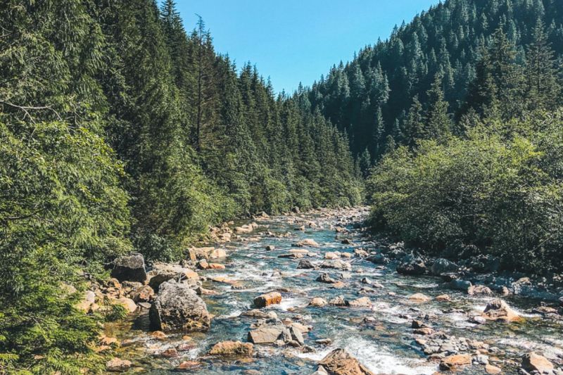 Exploring the Natural Splendors of Maple Ridge Parks