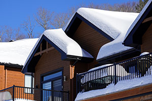 Mount Washington BC Houses for Sale